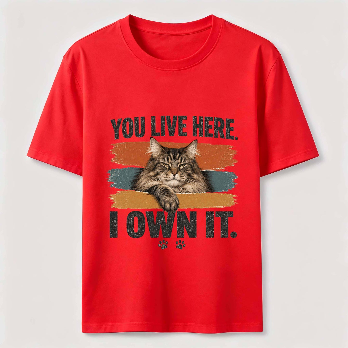 You Live Here I Own It Cat Tee