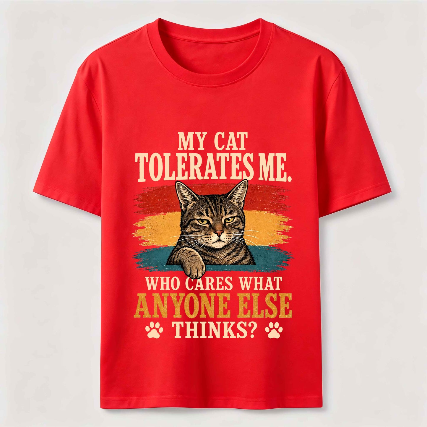 Cat Approved Human Vintage Funny Cat Owner Tee