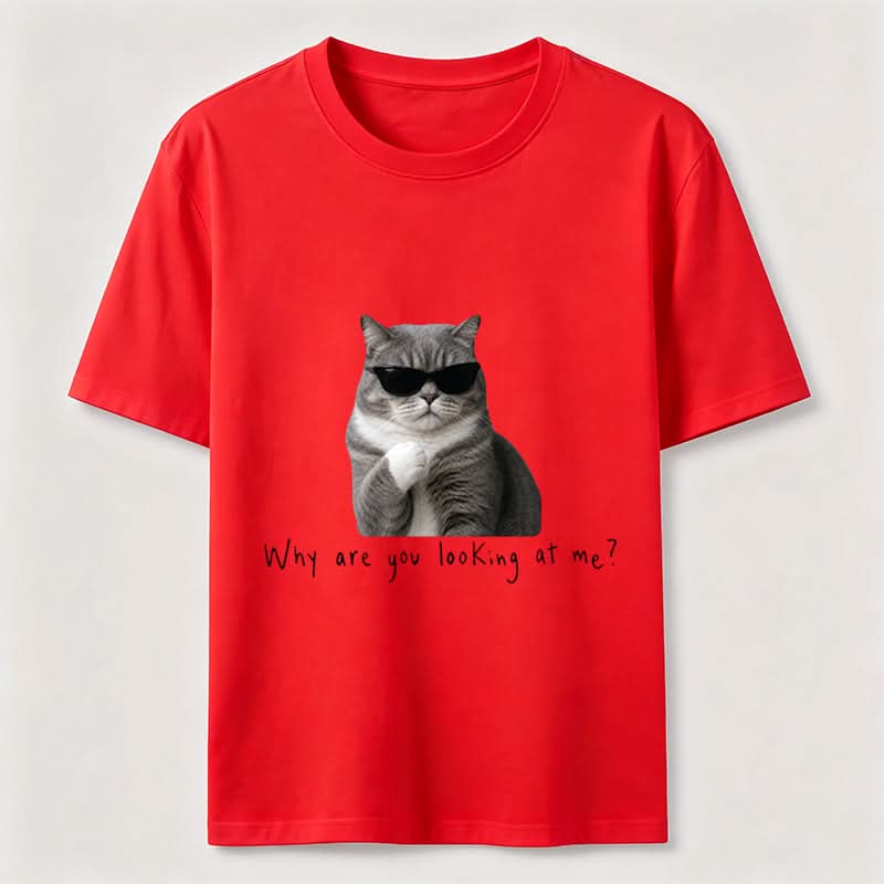 Why Are You Looking at Me Funny Cat T-Shirt