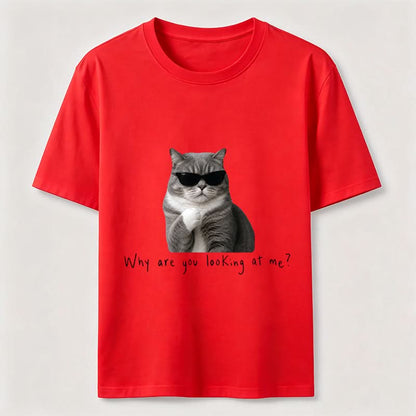 Why Are You Looking at Me Funny Cat T-Shirt