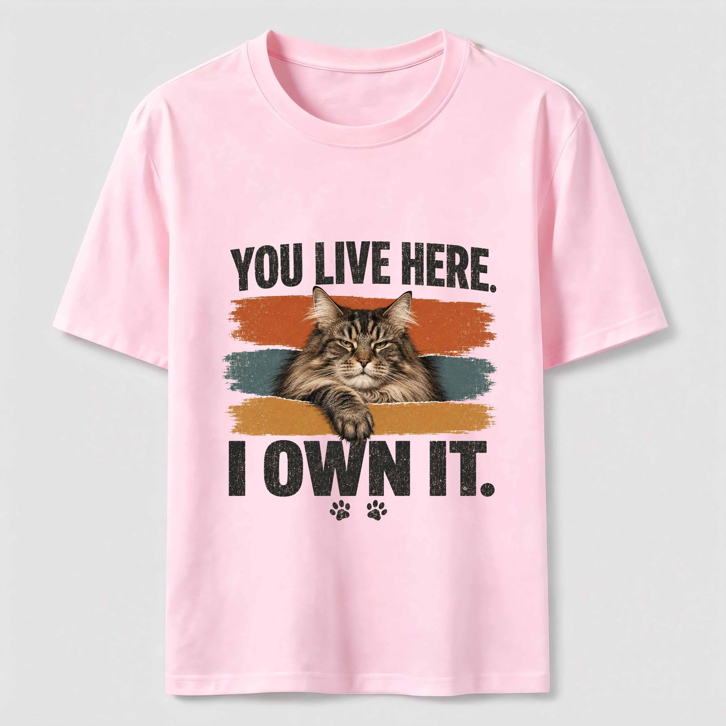 You Live Here I Own It Cat Tee