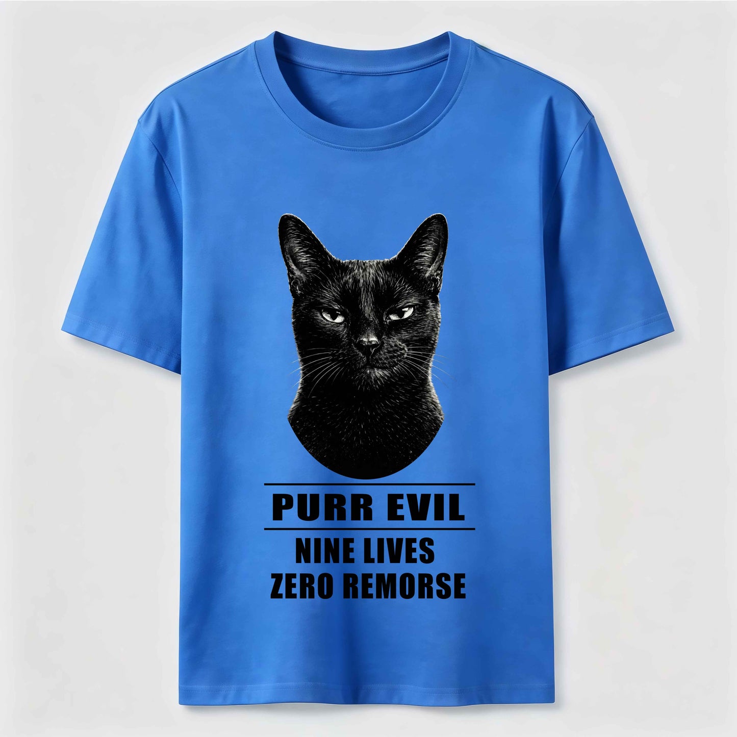 The Villain Era of My Cat Vintage Dark Cat T-Shirt