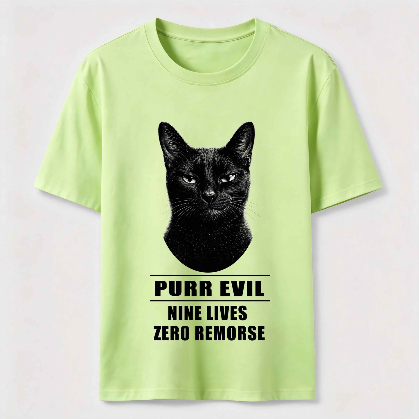 The Villain Era of My Cat Vintage Dark Cat T-Shirt