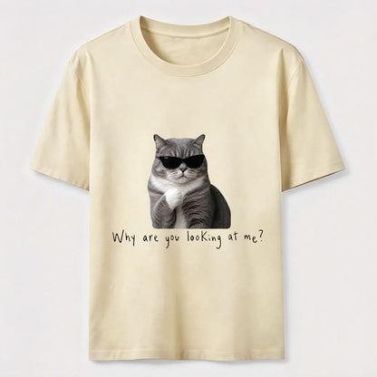 Why Are You Looking at Me Funny Cat T-Shirt