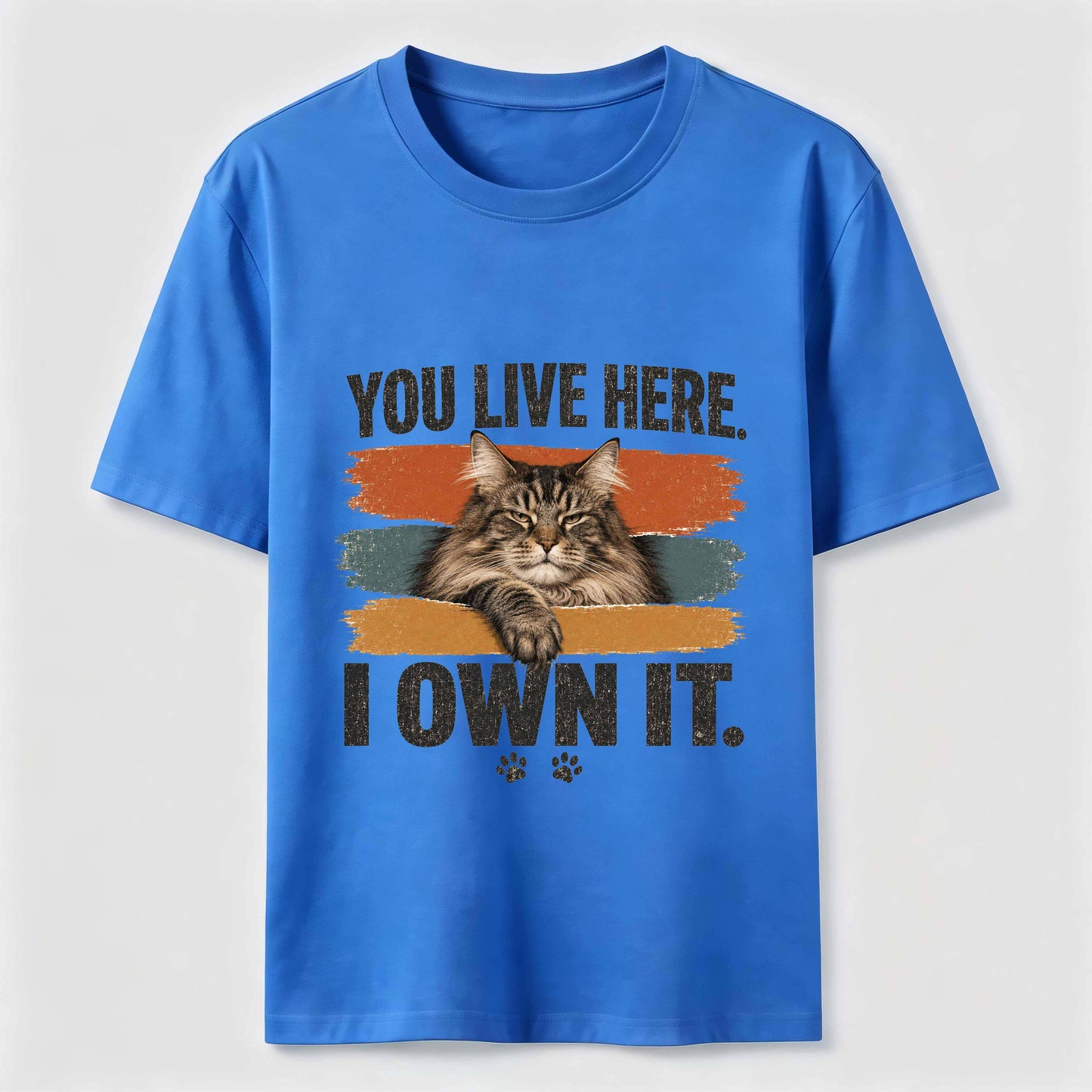 You Live Here I Own It Cat Tee