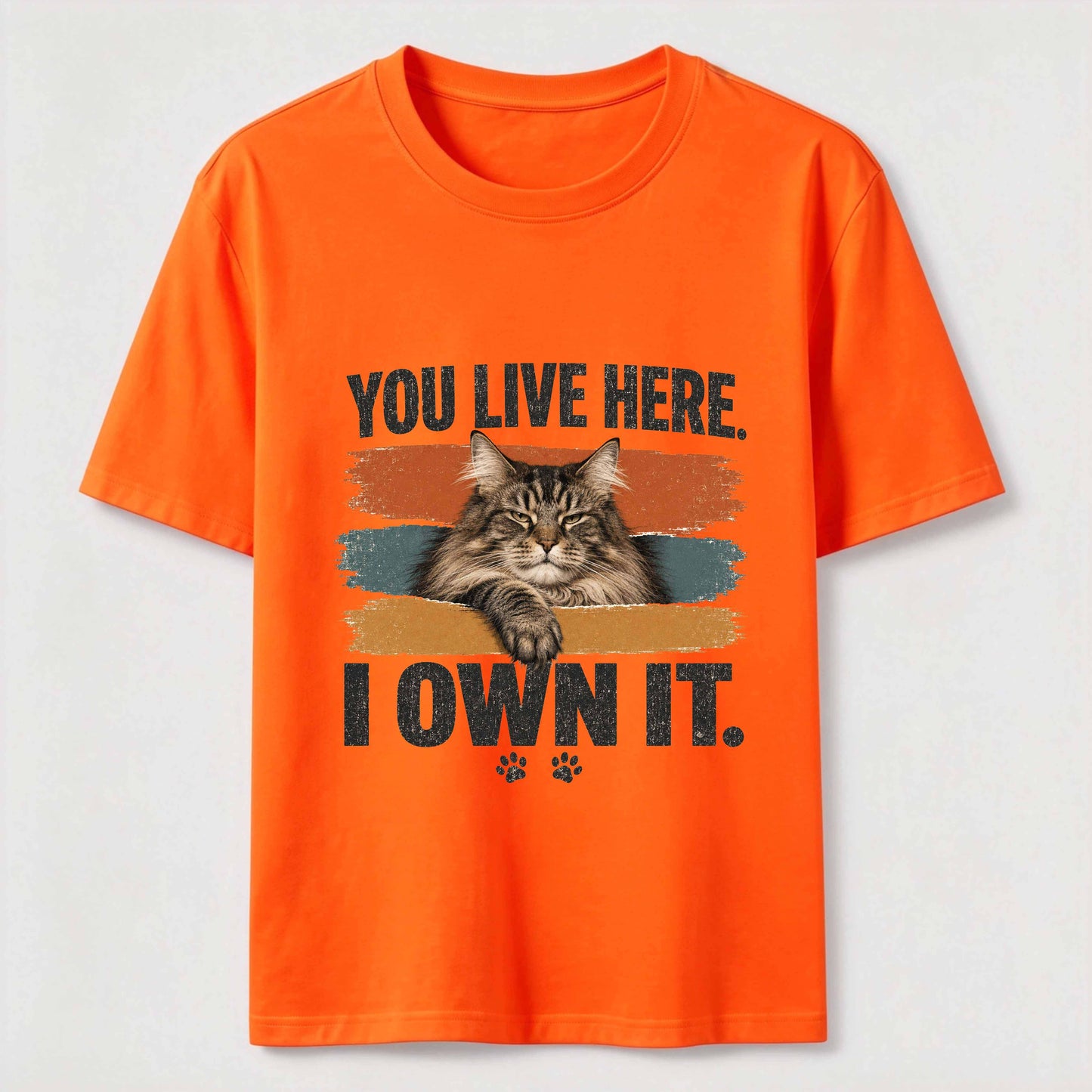 You Live Here I Own It Cat Tee