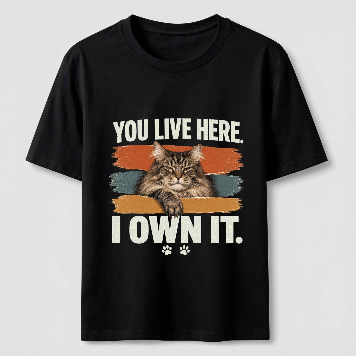 You Live Here I Own It Cat Tee