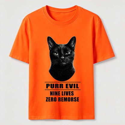 The Villain Era of My Cat Vintage Dark Cat T-Shirt