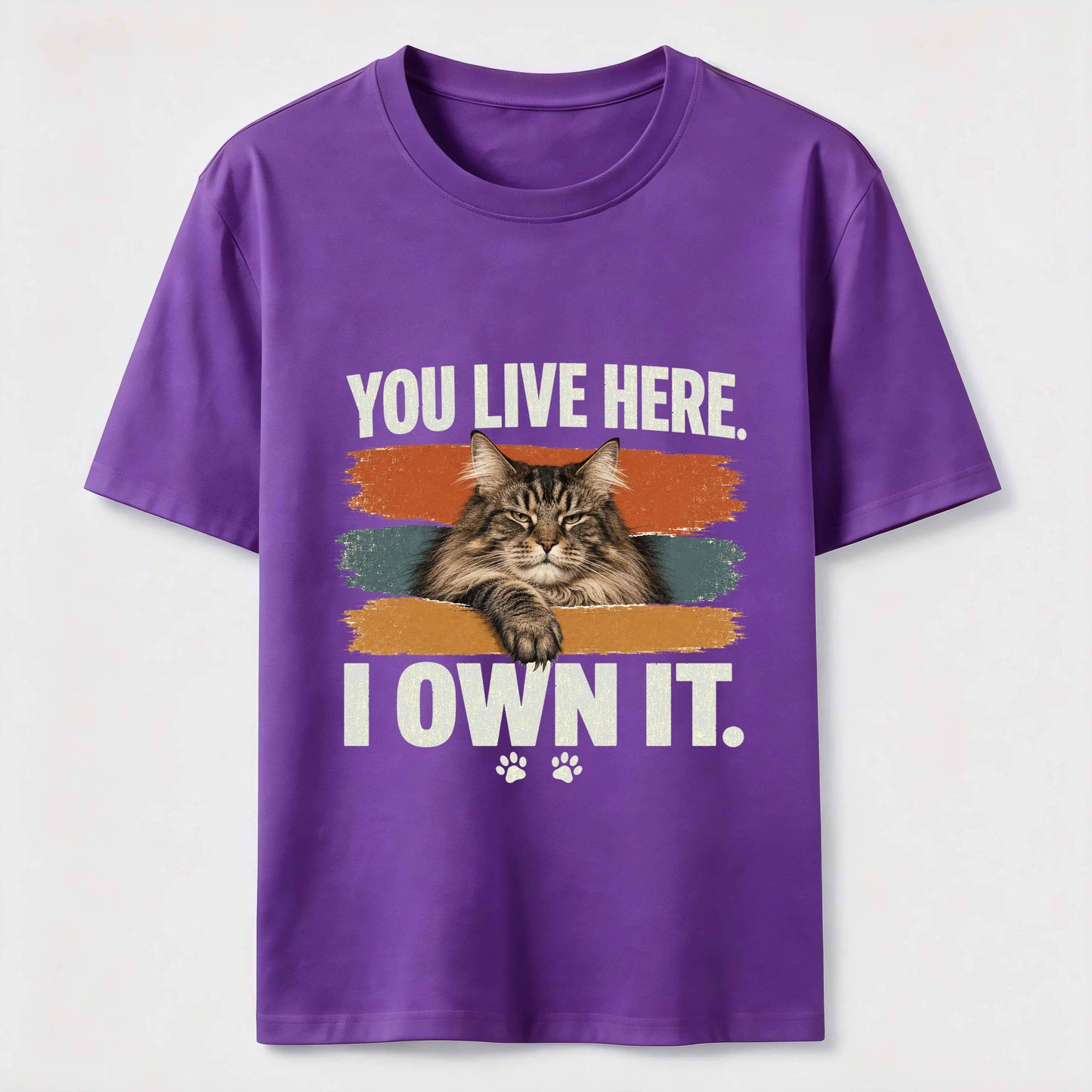 You Live Here I Own It Cat Tee