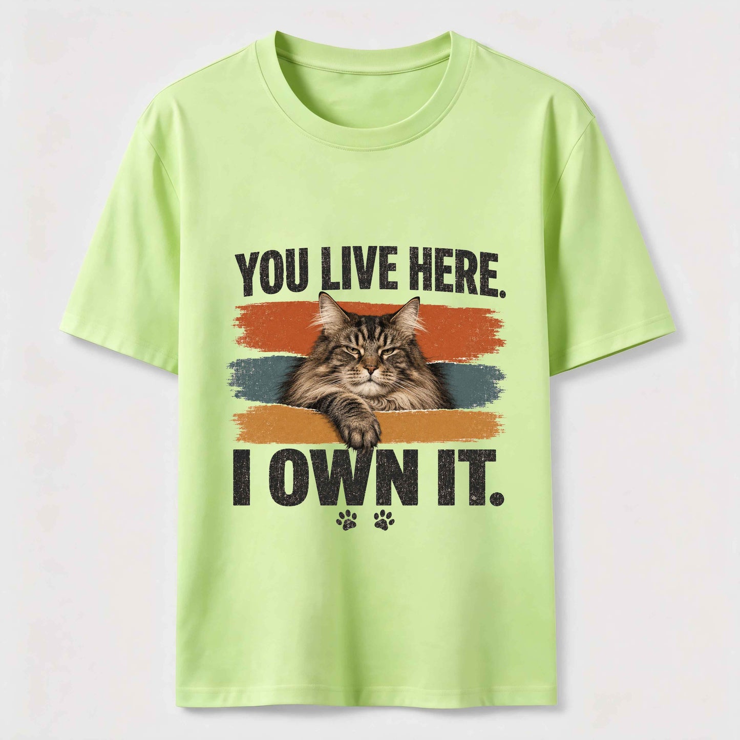 You Live Here I Own It Cat Tee