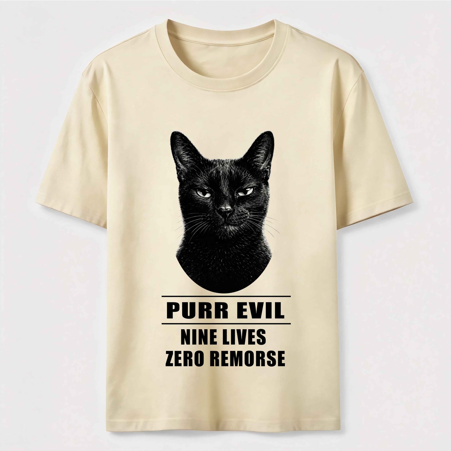 The Villain Era of My Cat Vintage Dark Cat T-Shirt