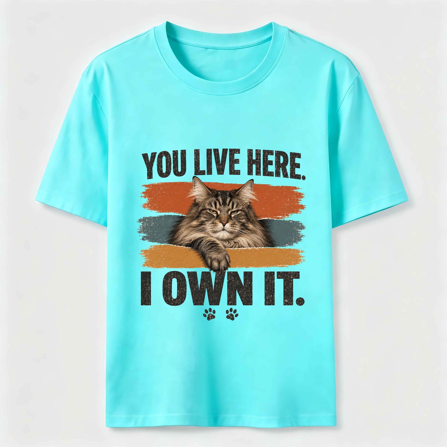You Live Here I Own It Cat Tee