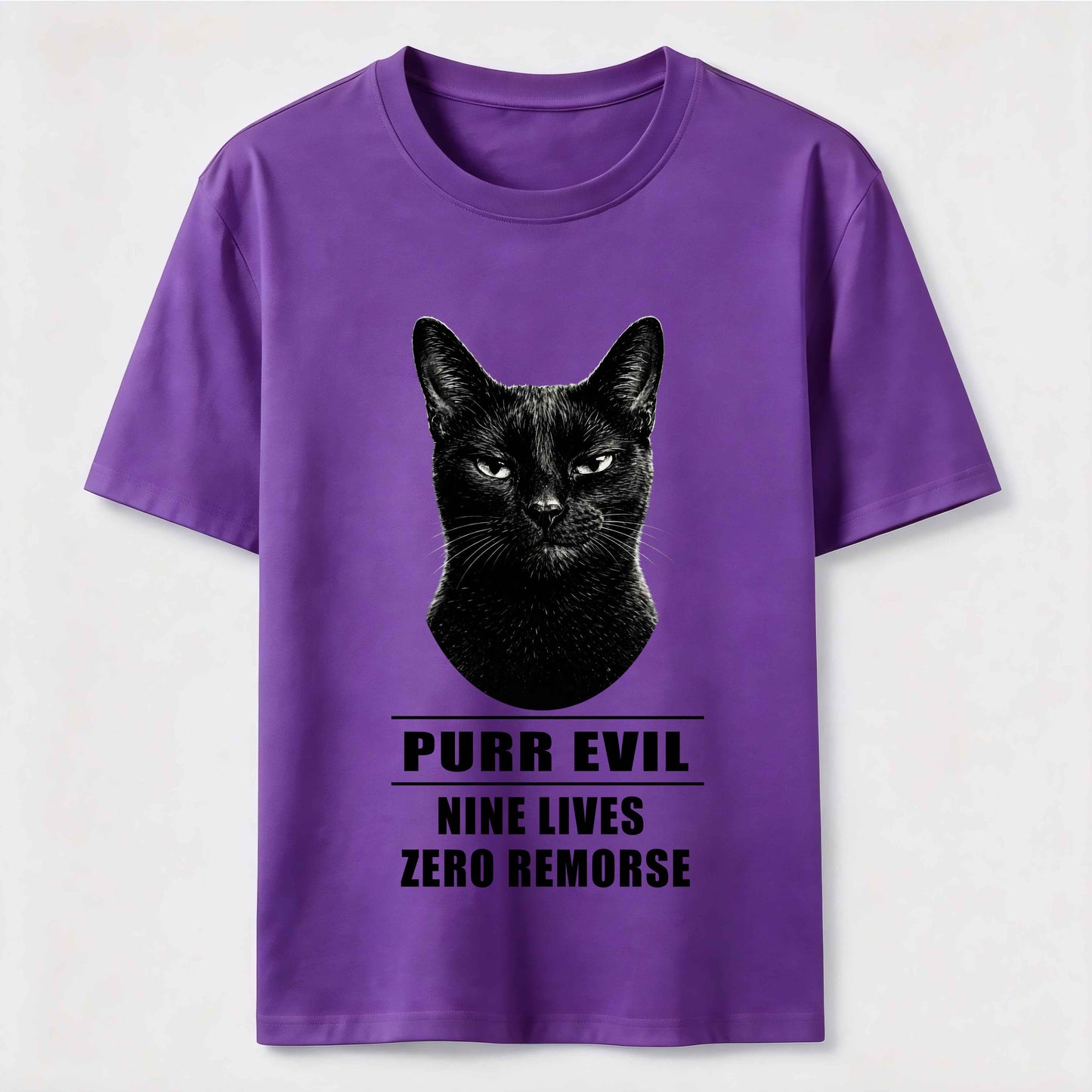 The Villain Era of My Cat Vintage Dark Cat T-Shirt