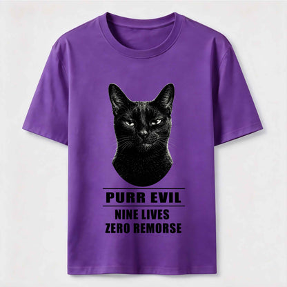 The Villain Era of My Cat Vintage Dark Cat T-Shirt