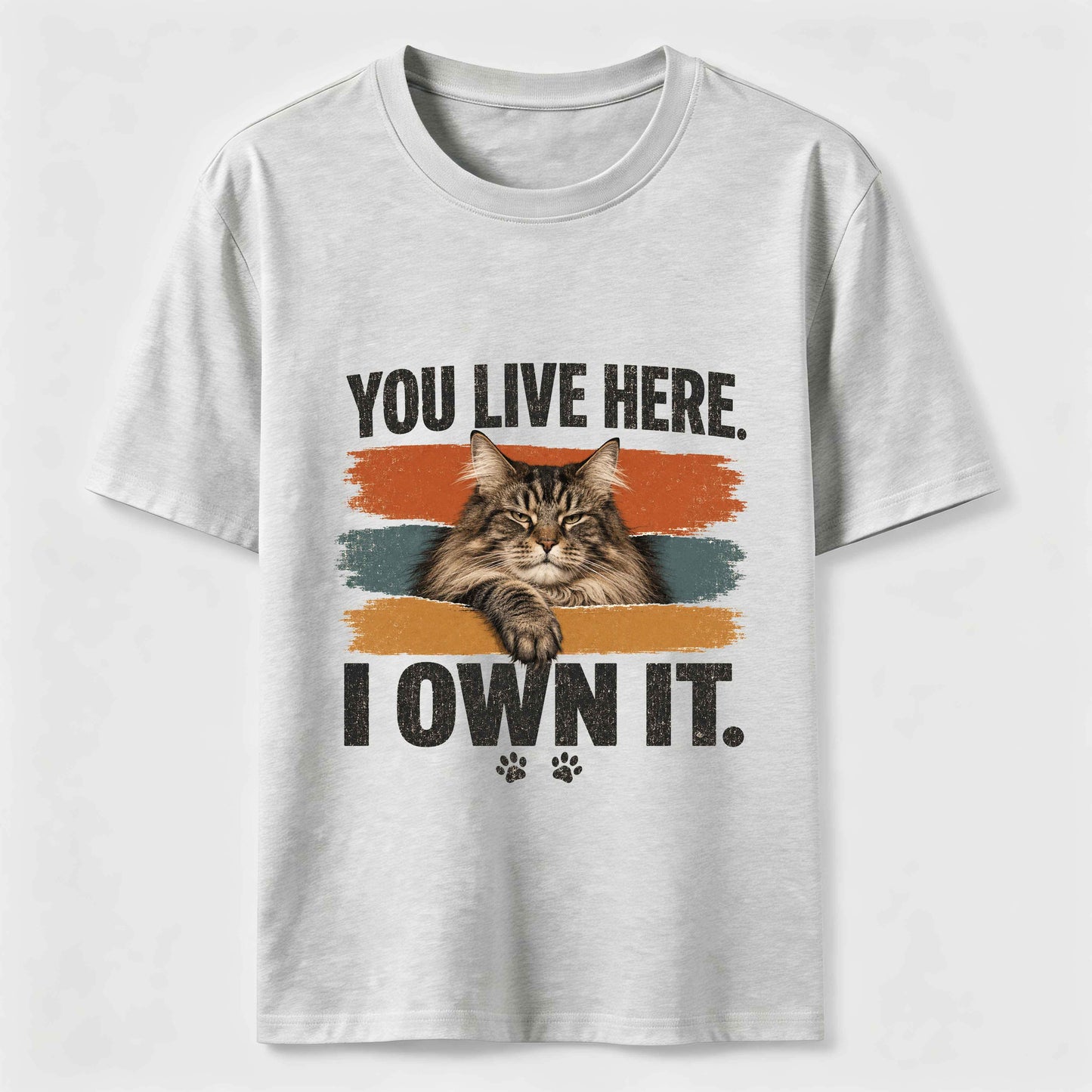You Live Here I Own It Cat Tee