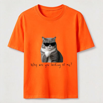 Why Are You Looking at Me Funny Cat T-Shirt